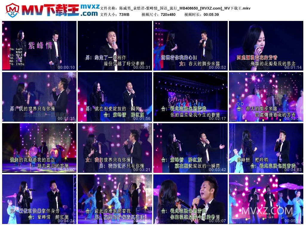 陈威男_袁惜君-紫峰情_国语_流行_MB408650